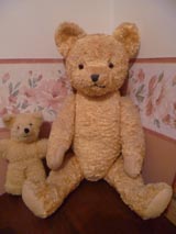 jakas teddy bear